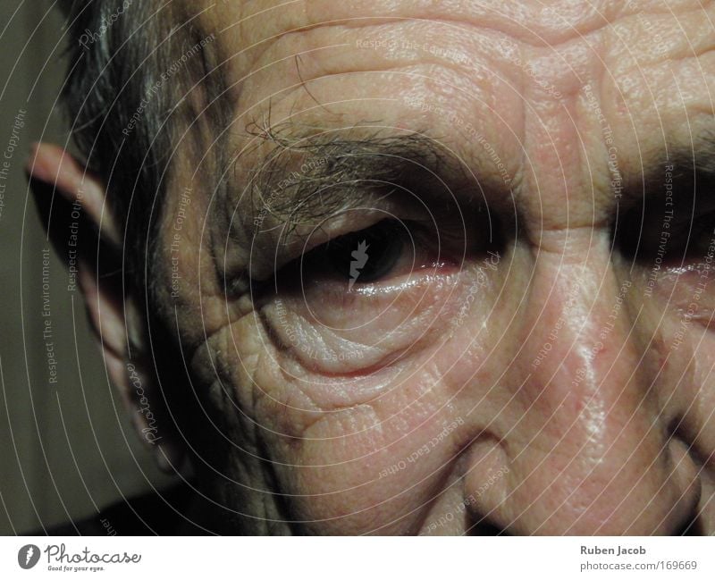 Faces can tell stories Colour photo Close-up Artificial light Shadow Portrait photograph Looking into the camera Forward Human being Masculine Male senior Man