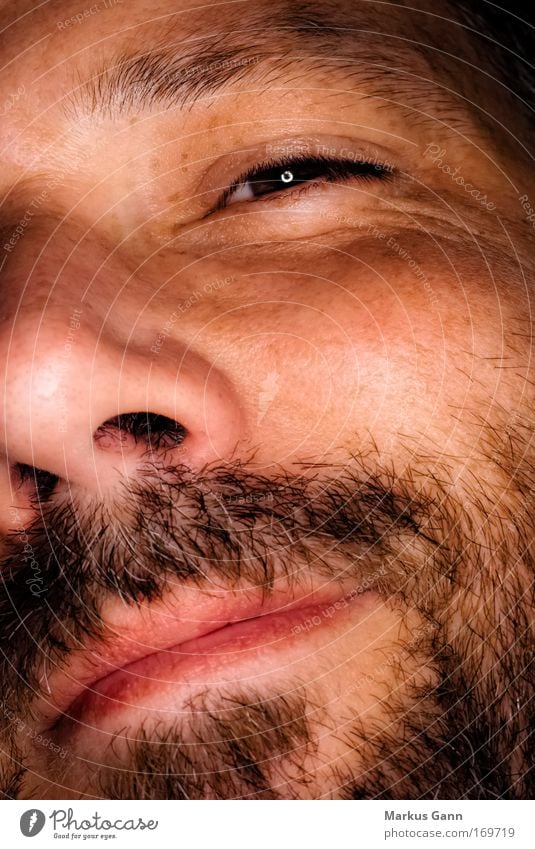 Man with beard Colour photo Macro (Extreme close-up) Flash photo Portrait photograph Looking into the camera Wink Face Human being Masculine Adults Head