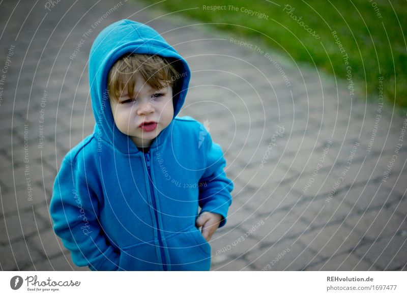 favorite sweater Human being Masculine Child Toddler Boy (child) Face 1 1 - 3 years Lanes & trails Sweater Hooded (clothing) Hooded sweater To talk Stand