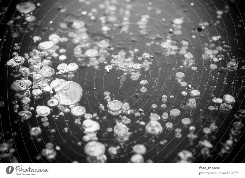 Trapped Bubbles Black & white photo Close-up Pattern Structures and shapes Deserted Shallow depth of field Worm's-eye view Air Water Ice Frost Freeze Emotions
