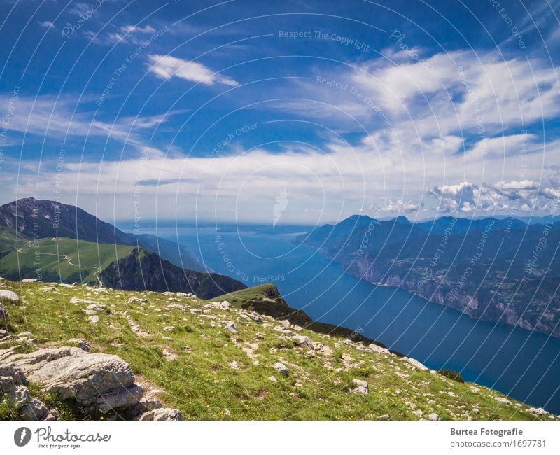 Till the Horizon Nature Landscape Water Sky Clouds Sunlight Summer Grass Mountain Altissimo di Nago Peak Lake Lake Garda Beautiful Contentment 2016 altissimo