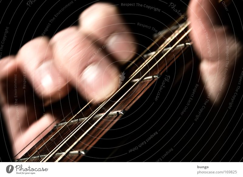 lapsus Colour photo Studio shot Detail Contrast Motion blur Shallow depth of field Leisure and hobbies Playing Music Man Adults Skin Hand Fingers Musician