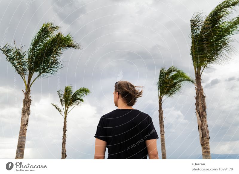 Stormy times Vacation & Travel Summer Human being Masculine Body 1 Nature Clouds Climate Climate change Wind Gale Tree Exotic Bravery Self-confident