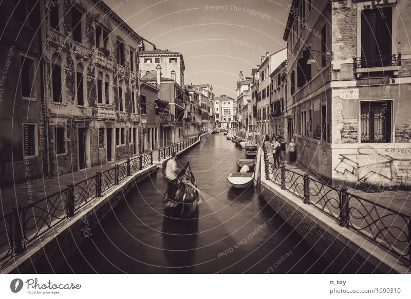 Afternoon in Venice Italy Europe Town Old town Driving Dark Emotions Moody Homesickness Wanderlust Adventure Idyll Senses Tradition Gondola (Boat) Gondolier
