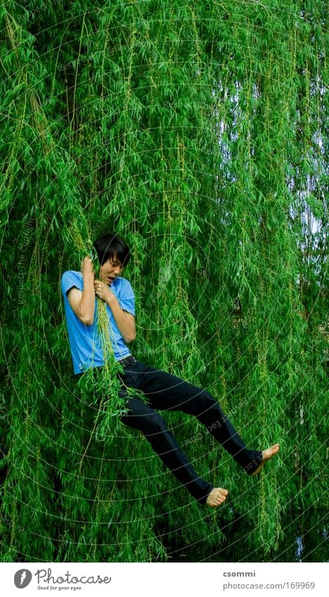 Tarzan in korean Playing Freedom Young man Youth (Young adults) Tree Willow tree Garden Forest Virgin forest Lakeside Pond Flying Hang To swing Scream Jump