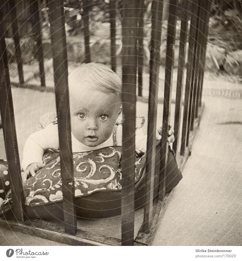 Toddler looks with big eyes through the bars of the playpen Black & white photo Exterior shot Day portrait Front view Looking into the camera Freedom Garden