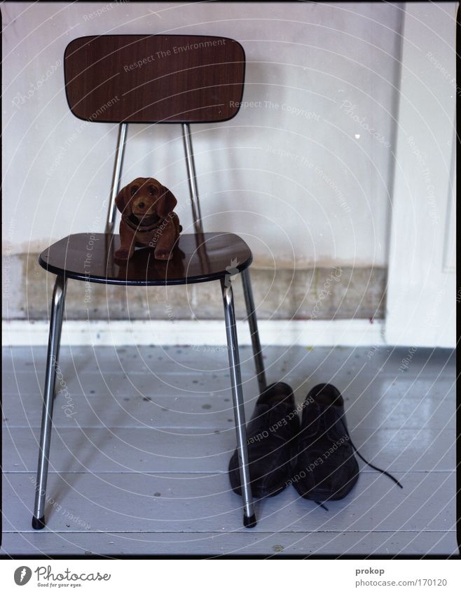 Gerhard, chair and shoes Colour photo Interior shot Deserted Day Deep depth of field Central perspective Flat (apartment) Chair Wait Virtuous Pride Bravery