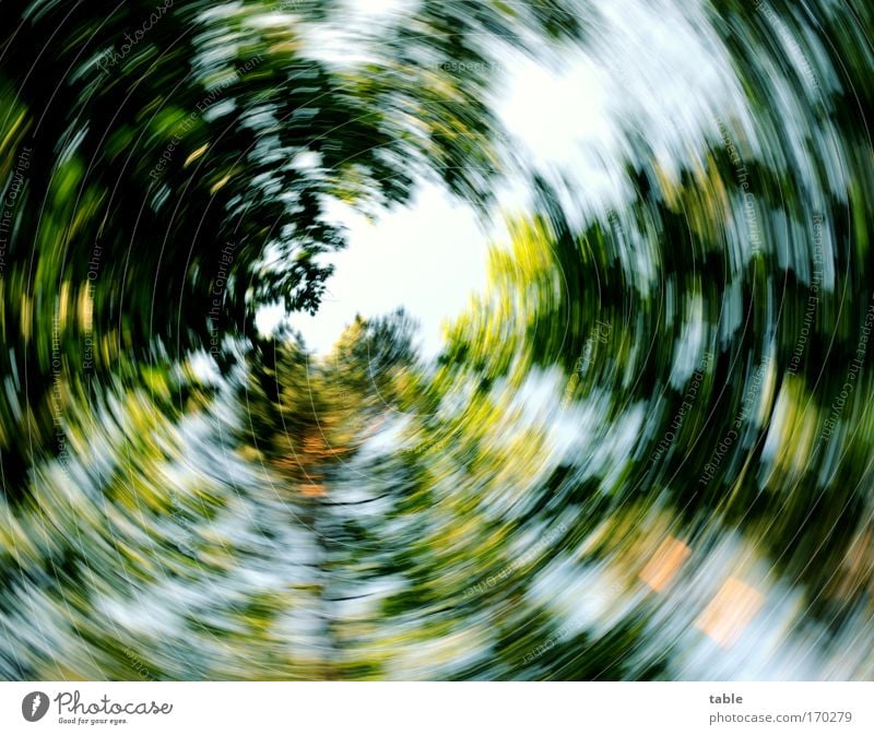 everything is spinning - a Royalty Free Stock Photo from Photocase