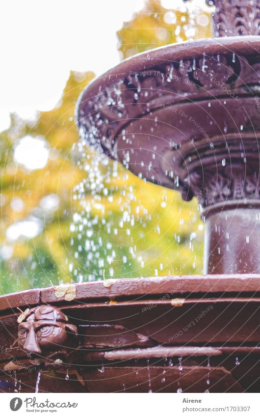 drip catcher Art Sculpture Drops of water Autumn Beautiful weather Park Well Fountain Esthetic Fresh Cold Wet Brown Gold Green Violet Eternity Peace Inspiration
