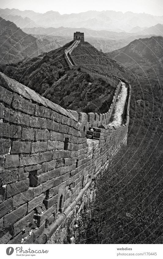 Great Wall of China near Mutianyu Black & white photo Exterior shot Pattern Structures and shapes Copy Space top Day Shadow Central perspective Landscape