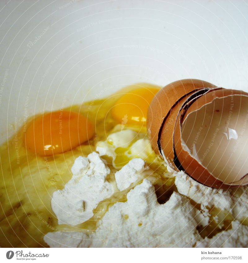 egg country Colour photo Interior shot Close-up Deserted Artificial light Central perspective Food Dough Baked goods Cake Eggshell "egg Flour" Organic produce