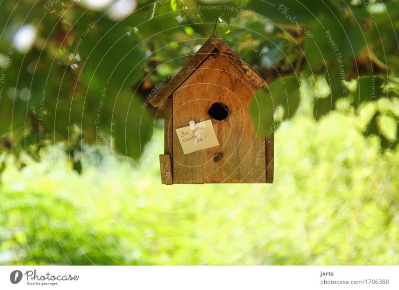 until Beautiful weather Tree Leaf Park Forest House (Residential Structure) Exceptional Natural Living or residing Piece of paper Information Birdhouse