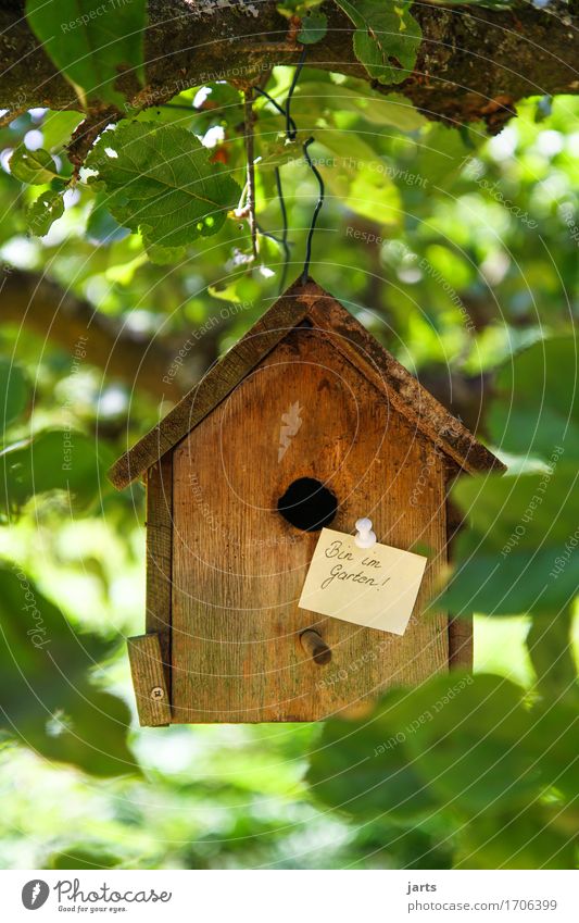 in the garden Beautiful weather Tree Garden Forest House (Residential Structure) Hut Living or residing Piece of paper Information Birdhouse Colour photo
