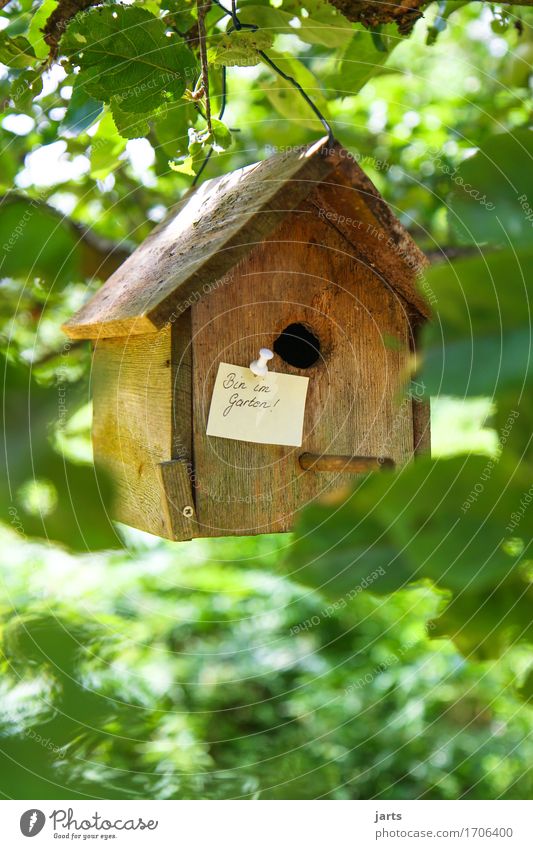 in the garden Tree Leaf Forest House (Residential Structure) Dream house Hut Communicate Nature Piece of paper Information Birdhouse Garden Colour photo