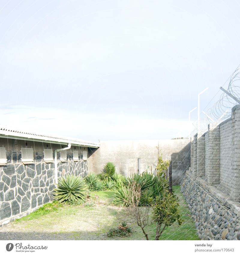 prison yard Colour photo Exterior shot Deserted Copy Space top Copy Space middle Day Light Shadow Contrast Deep depth of field Long shot Flat (apartment) Garden