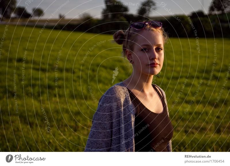 young woman on a meadow in the evening portrait Sunlight Back-light Human being Adults 18 - 30 years Young woman Youth (Young adults) Hair and hairstyles