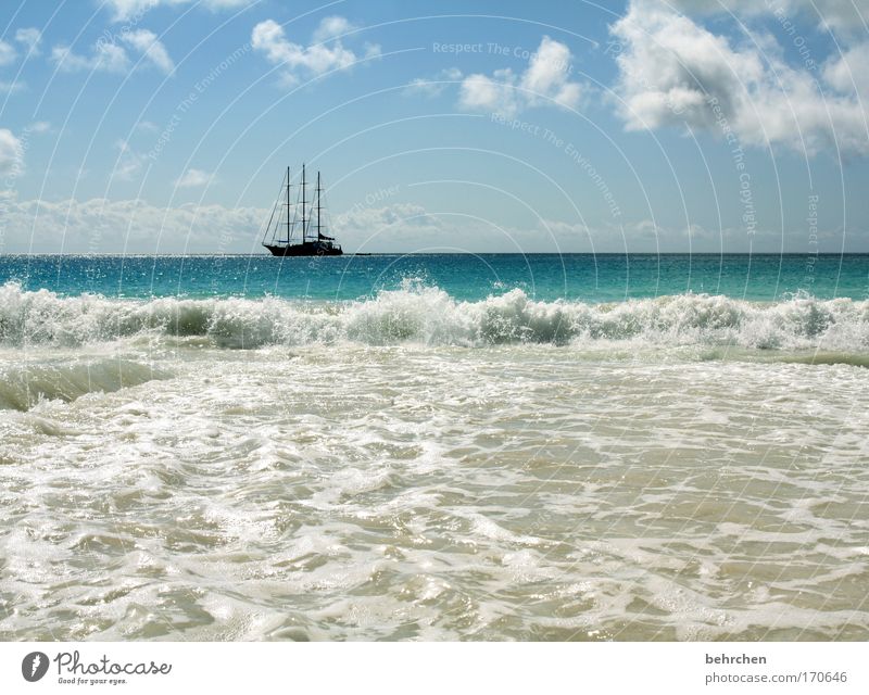 barbossa Colour photo Exterior shot Sunlight Vacation & Travel Tourism Adventure Far-off places Freedom Summer vacation Waves Sky Clouds Beautiful weather Coast