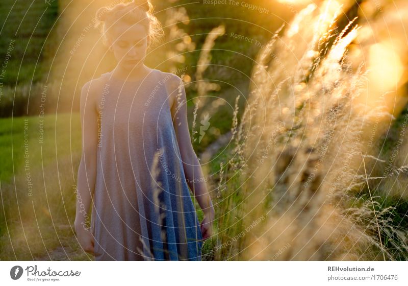 Alexa in the evening light. Human being Feminine Young woman Youth (Young adults) 1 18 - 30 years Adults Environment Nature Landscape Grass Meadow Dress