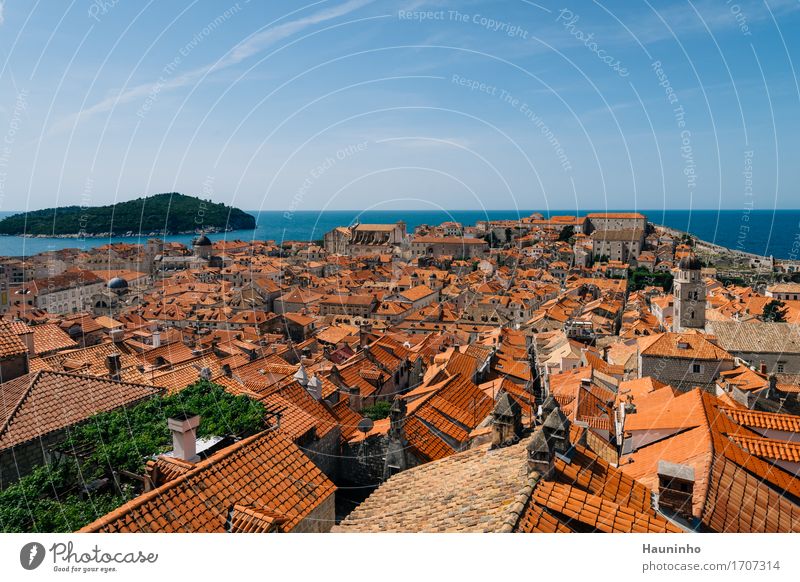 Dubrovnik Xlll Vacation & Travel Sightseeing City trip Summer vacation Water Sky Beautiful weather Plant Ocean Island Croatia Town Port City Downtown Old town