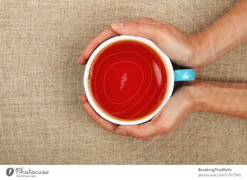 Two woman hands holding big cup of black tea over canvas Beverage Hot drink Tea Mug Healthy Eating Woman Adults Hand Embrace Long Red Black Joy
