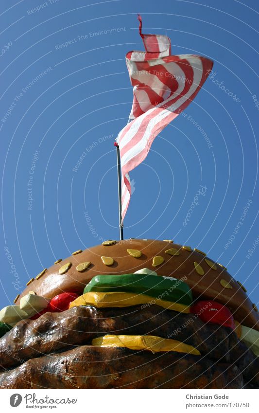 USA Deserted Blue Flag Flagpole Americas Ensign American Hamburger Lettuce Advertising Stripe American Flag Sky Sky blue Worm's-eye view Meat Fast food