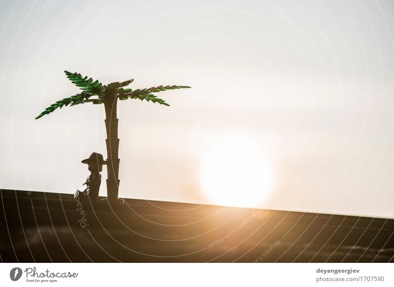 Figures of palm tree and man on sunset Beautiful Vacation & Travel Sun Climbing Mountaineering Man Adults Nature Landscape Plant Sky Clouds Tree Natural Above