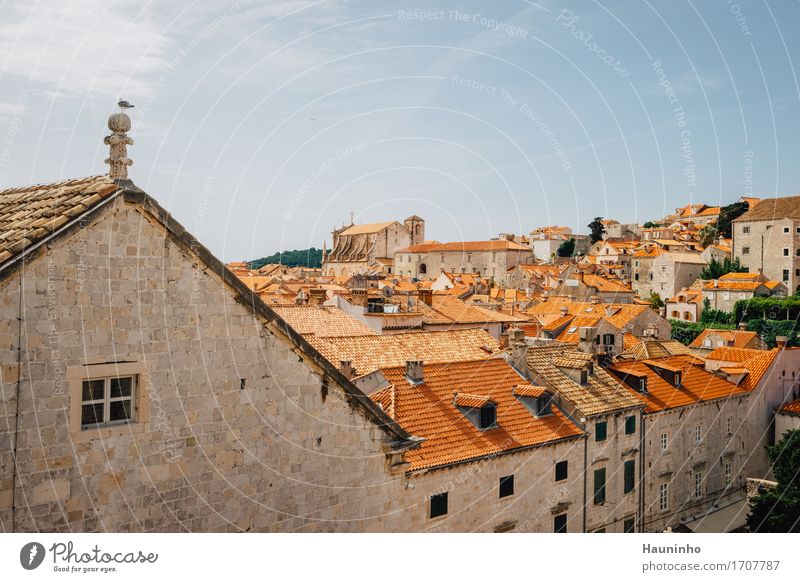Dubrovnik Vll Vacation & Travel Tourism Sightseeing City trip Sky Summer Plant Croatia Town Port City Downtown Old town House (Residential Structure) Church