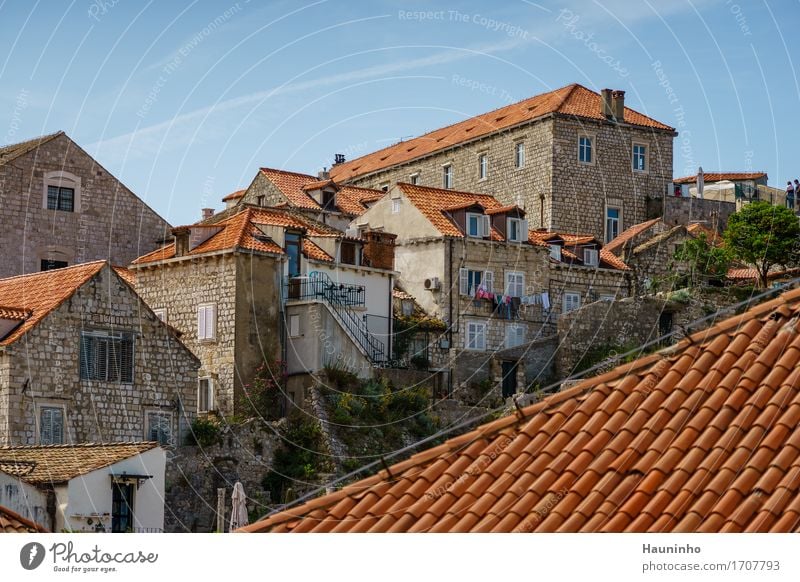 Dubrovnik lll Vacation & Travel Tourism Summer vacation Living or residing Flat (apartment) House (Residential Structure) Beautiful weather Plant Tree Flower