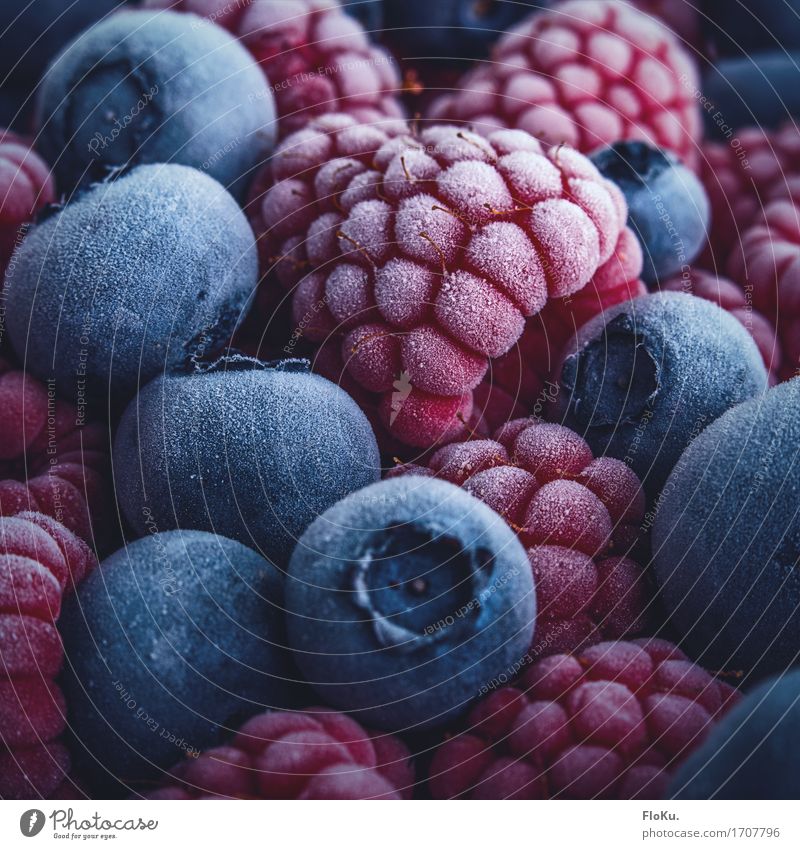 Berries put on ice (and left in freezer) Food Fruit Nutrition Eating Organic produce Vegetarian diet Diet Ice Frost Fresh Healthy Cold Delicious Natural Sweet