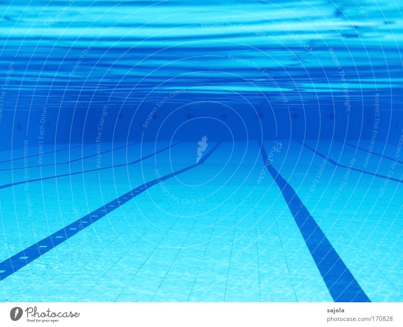 // \ pool - empty Sports Aquatics Swimming pool Elements Water Free Wet Blue Chlorine Lined Track Undulation Waves Undulating Loneliness Empty Tile Colour photo