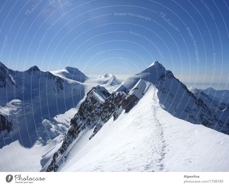 Stairway to heaven Climbing Mountaineering Environment Nature Landscape Cloudless sky Beautiful weather Ice Frost Snow Rock Alps lysimeter Monte Rosa Peak