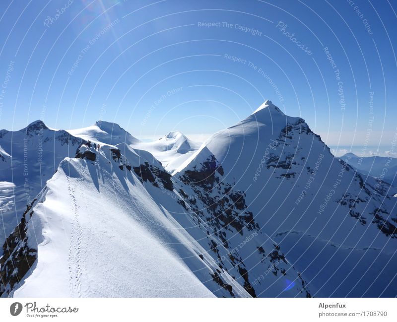 Stairway to Heaven III Climbing Mountaineering Environment Nature Landscape Cloudless sky Beautiful weather Ice Frost Snow Rock Alps Monte Rosa lysimeter Peak