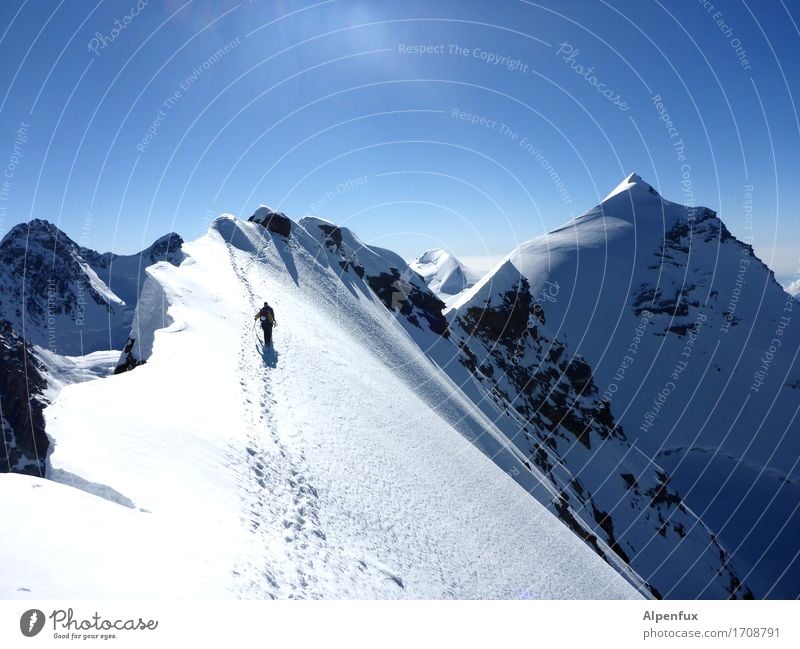 Stairway to heaven II Climbing Mountaineering Environment Nature Landscape Cloudless sky Beautiful weather Ice Frost Snow Rock Alps Monte Rosa lysimeter Peak