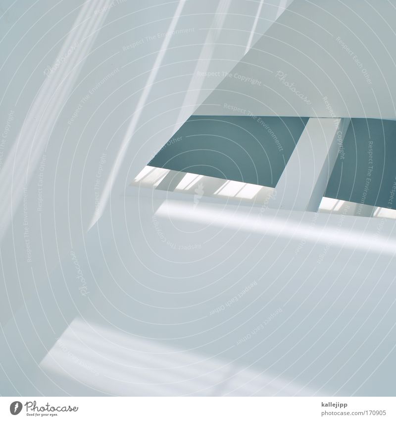 white stripes Colour photo Subdued colour Interior shot Abstract Day Sunlight High-key Worm's-eye view House (Residential Structure) Beautiful White Geometry