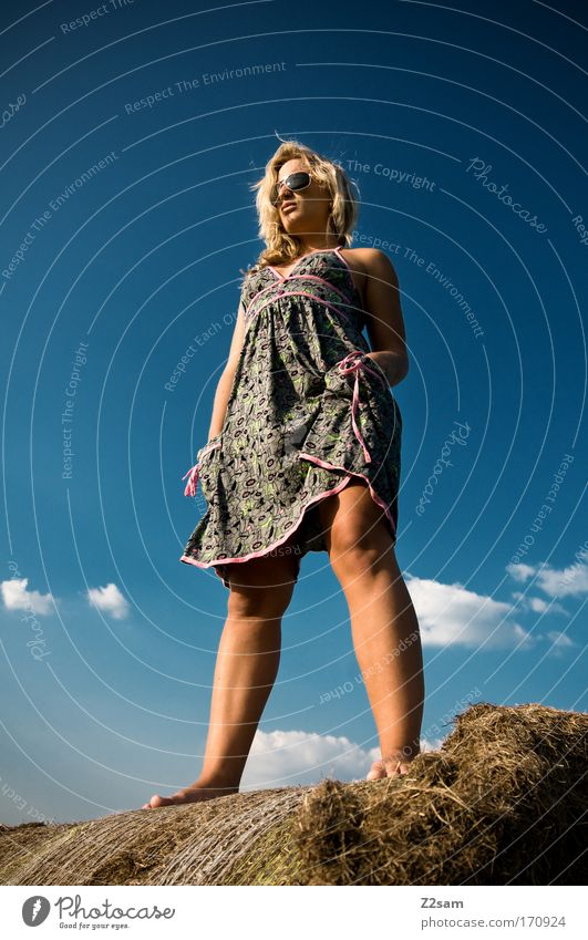 lena in heaven Exterior shot Looking away Feminine Young woman Youth (Young adults) 18 - 30 years Adults Nature Landscape Sky Clouds Grass Fashion Dress