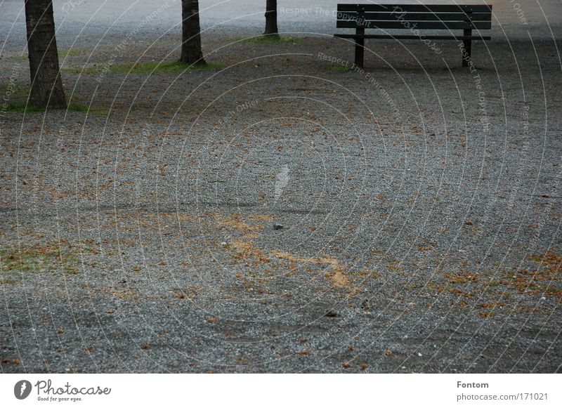 bank abandonment Colour photo Exterior shot Deserted Evening Contrast Harmonious Contentment Relaxation Calm Trip Earth Tree Garden Carrying Sadness Simple