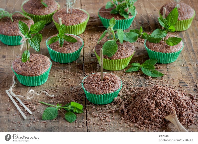chocolate cake in green muffin tins with lemon balm as arranged in the nursery Chocolate cake Muffin Lemon Balm Dough Baked goods Cake Candy Herbs and spices