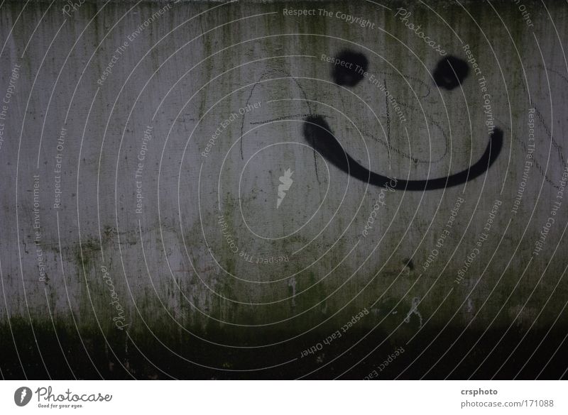 What are you laughing at? Contentment Relaxation Face Wall (barrier) Wall (building) Concrete Graffiti Smiling Laughter Friendliness Happiness Positive Gray