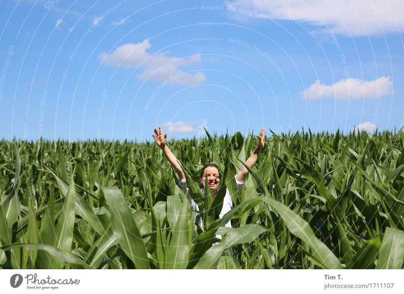 maize field Human being Feminine Head Hand 1 30 - 45 years Adults Environment Nature Sky Horizon Summer Climate Weather Beautiful weather Plant Leaf