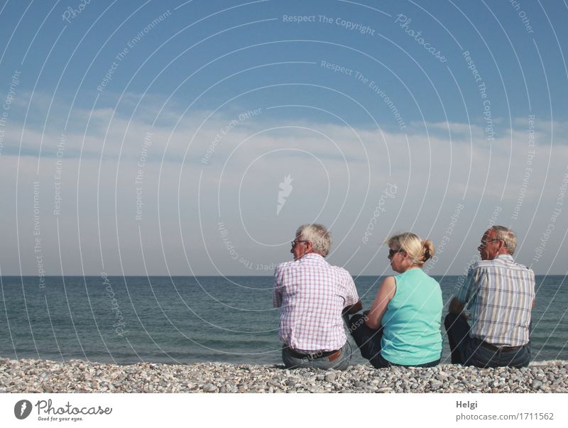 one senior and two seniors sitting on a pebble beach and looking to the left Leisure and hobbies Vacation & Travel Summer Human being Masculine Feminine Woman