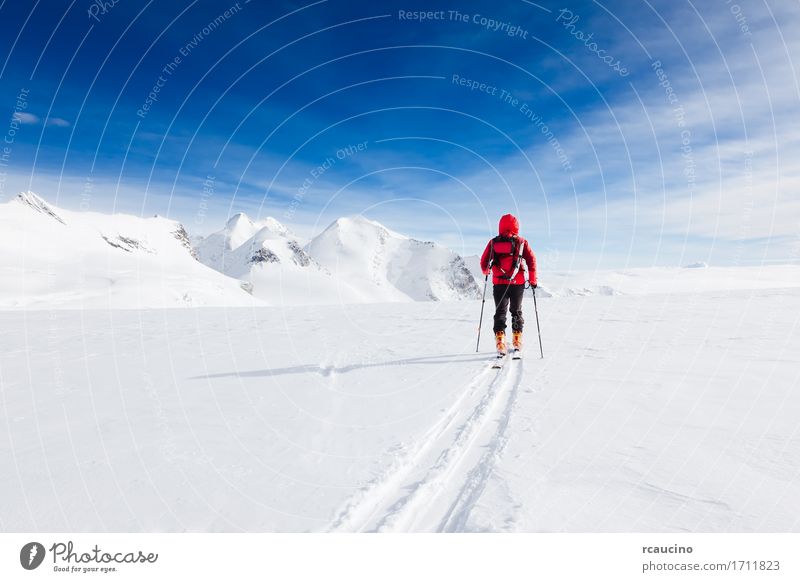 Mountaineer walking on a glacier with skis Monte Rosa Italy Vacation & Travel Trip Adventure Expedition Winter Snow Sports Skiing Human being Man Adults Nature
