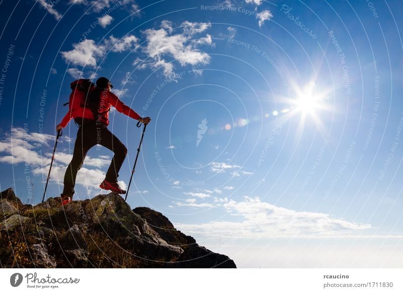 Male hiker standing on the top of a mountain. Leisure and hobbies Vacation & Travel Trip Adventure Freedom Summer Mountain Hiking Sports Climbing Mountaineering