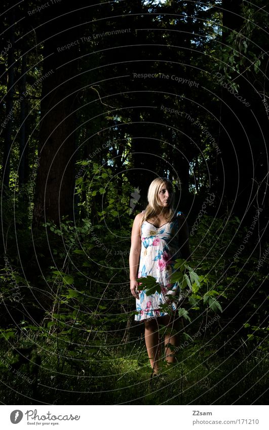 alone in the dark Exterior shot Artificial light Looking away Feminine Young woman Youth (Young adults) 18 - 30 years Adults Nature Forest Fashion Dress Blonde