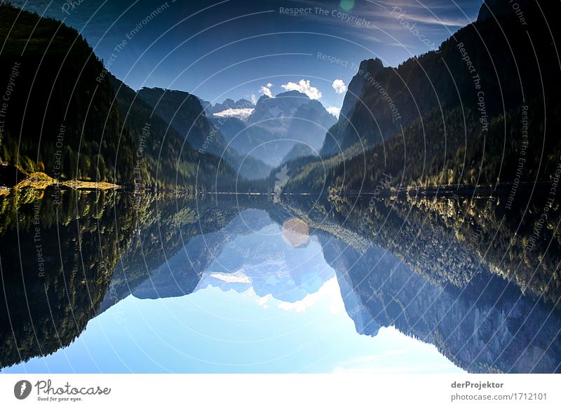 Mountain lake reflected in the Salzkammergut Vacation & Travel Tourism Trip Adventure Far-off places Freedom Hiking Environment Nature Landscape Plant Animal