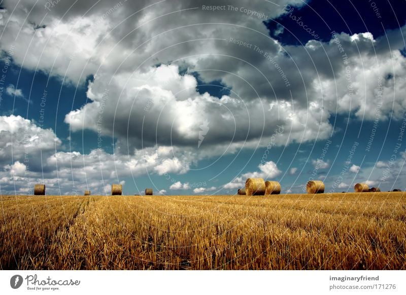 harvest Multicoloured Exterior shot Deserted Day Deep depth of field Central perspective Nature Landscape Sky Clouds Storm clouds Summer Autumn