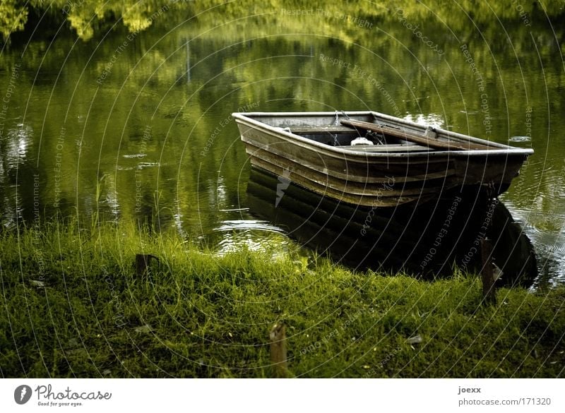 Fisherman's Friend Colour photo Exterior shot Copy Space left Morning Dawn Evening Twilight Nature Water Lakeside River bank Pond Calm fishing boat Meadow