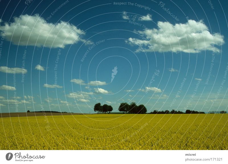 viewpoints Colour photo Exterior shot Deserted Day Panorama (View) Nature Landscape Sky Clouds Spring Beautiful weather Field Blue Yellow White Emotions Moody