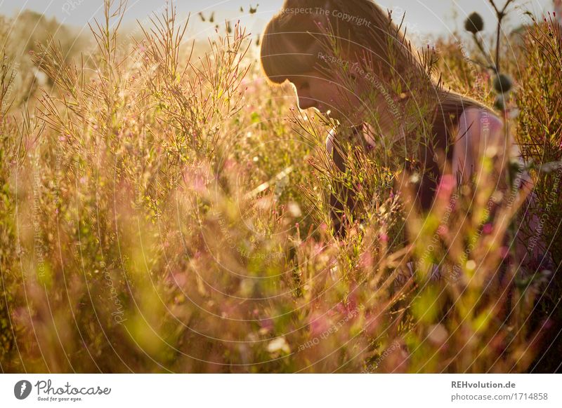 Carina | Flower meadow Human being Feminine Young woman Youth (Young adults) 1 18 - 30 years Adults Environment Nature Landscape Plant Sun Sunrise Sunset