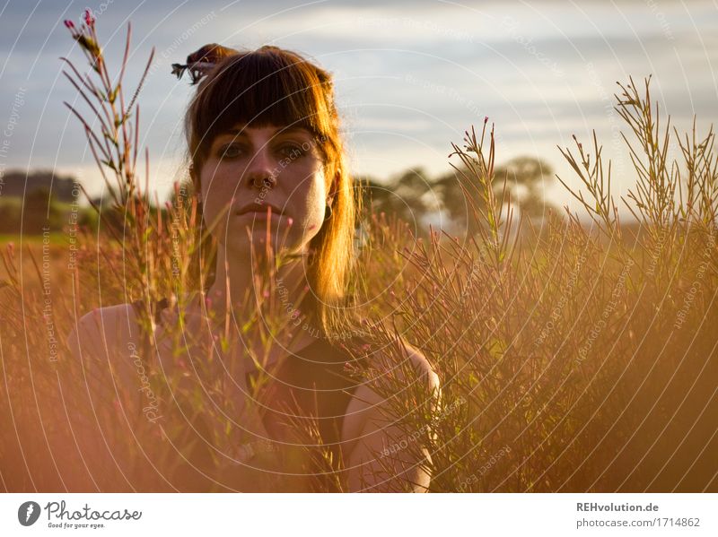 Carina in the evening light. Human being Feminine Young woman Youth (Young adults) Face 1 18 - 30 years Adults Environment Nature Landscape Sky Clouds Sun