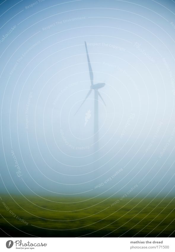 windswept Colour photo Subdued colour Exterior shot Deserted Morning Dawn Twilight Shadow Silhouette Environment Nature Landscape Air Sky Fog Rain Meadow Field